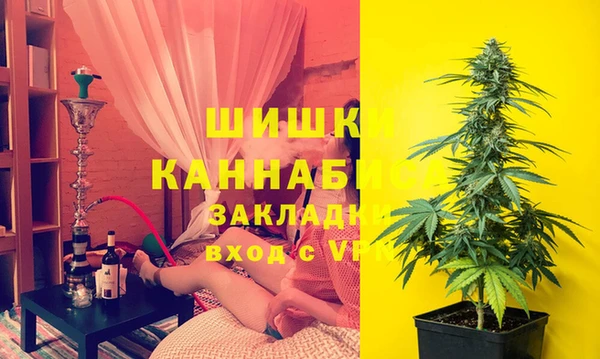 винт Верея