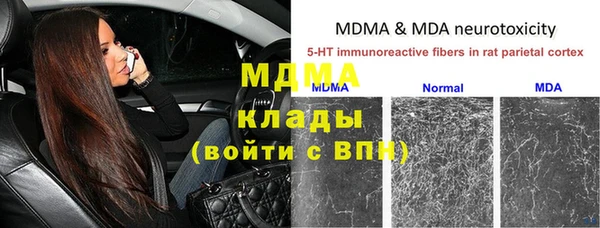 винт Верея